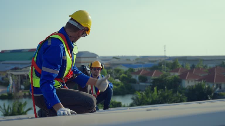 Best Roof Moss and Algae Removal  in Willow Park, TX